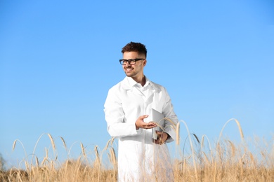 Photo of Agronomist with laptop in wheat field. Cereal grain crop