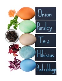 Photo of Easter eggs painted with natural dyes and labels on white background, top view. Onion, parsley, tea, hibiscus, red cabbage used for coloring