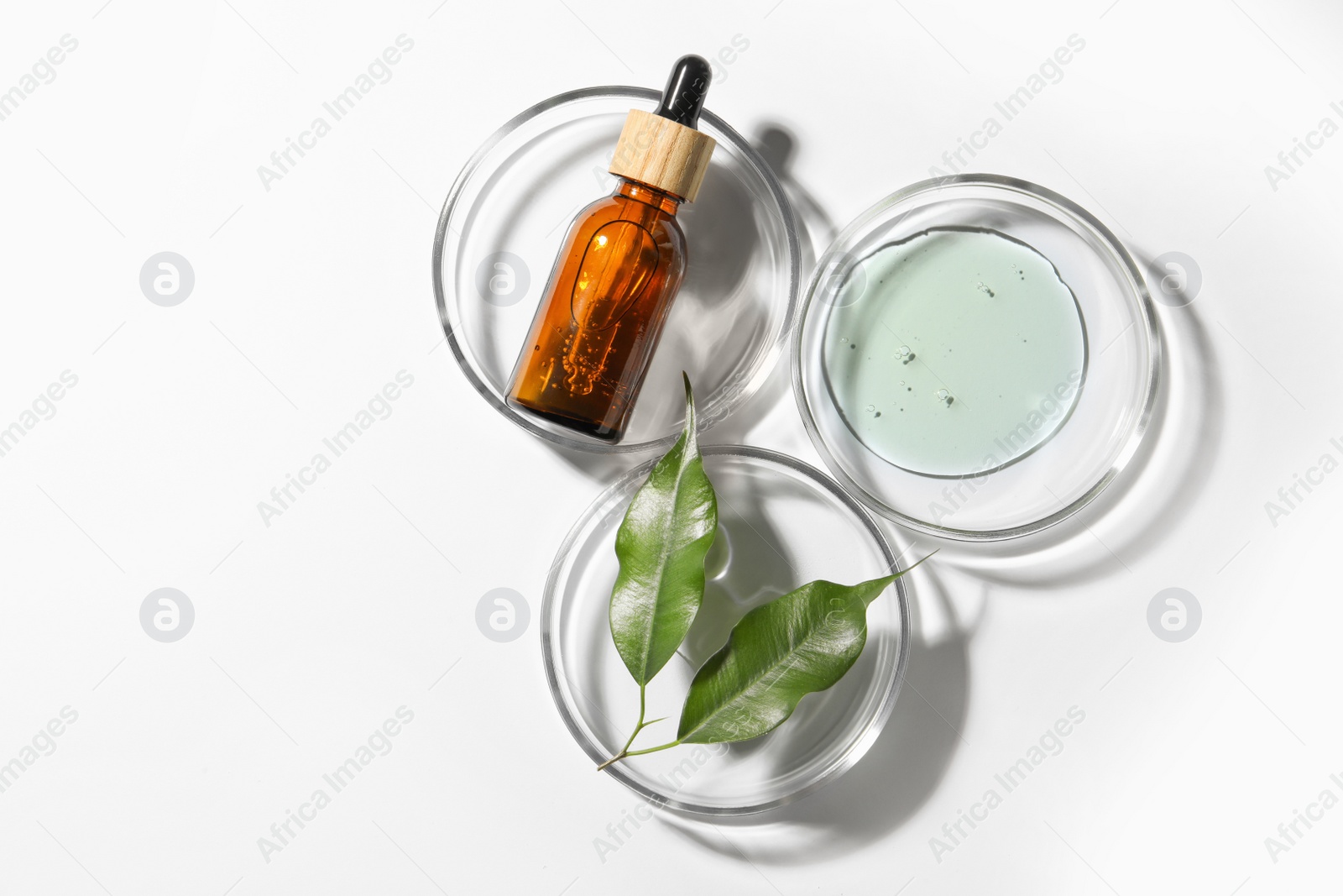 Photo of Petri dishes with sample, leaves and bottle on white background, top view