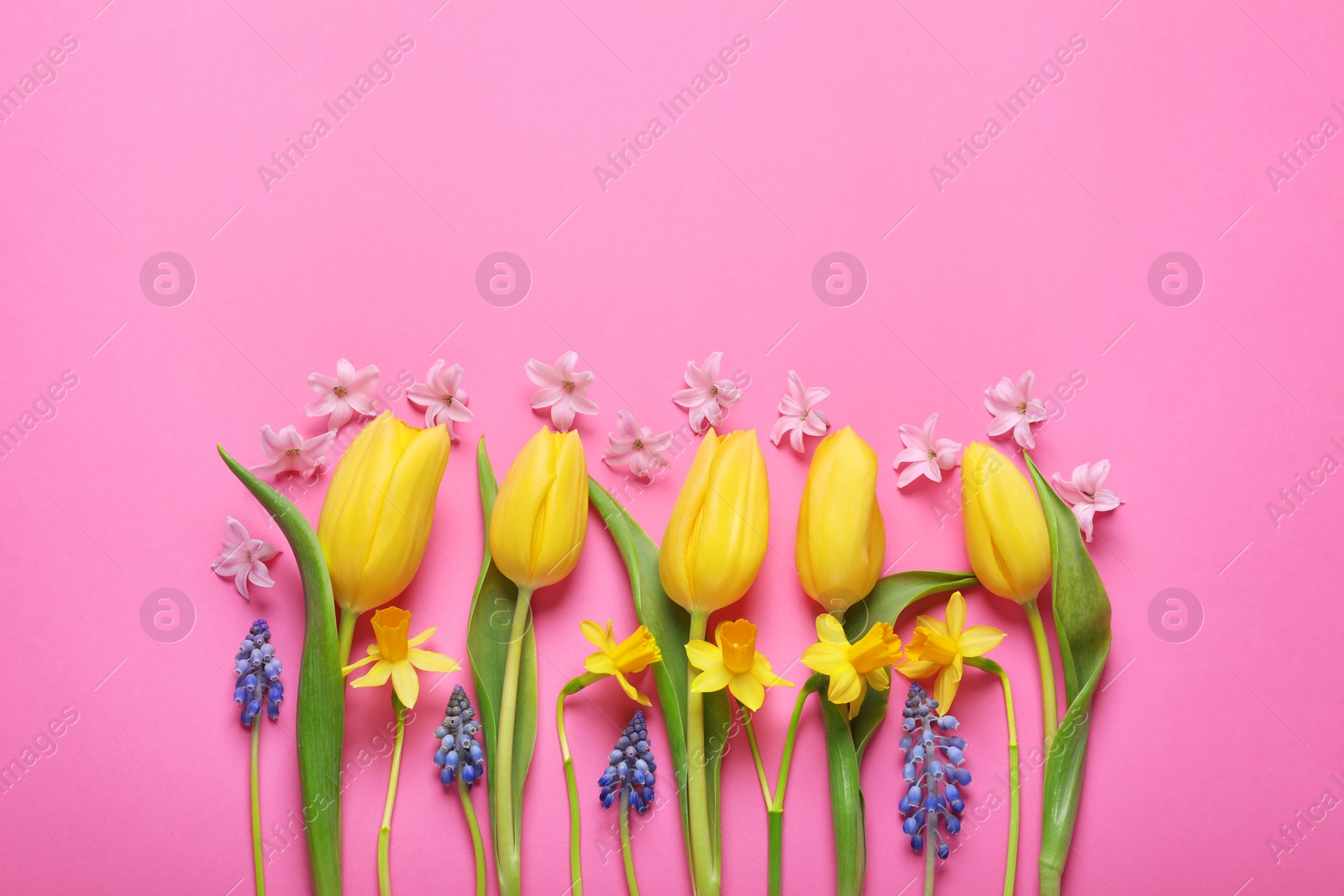 Photo of Beautiful different flowers on pink background, flat lay. Space for text