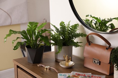 Beautiful potted ferns and accessories on wooden cabinet in hallway