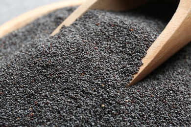 Photo of Closeup view of poppy seeds and wooden scoop