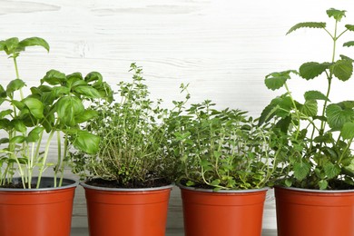 Photo of Different aromatic potted herbs against white wooden background, closeup