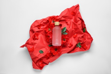 Composition with bottle of essential oil and red flowers on white background, top view