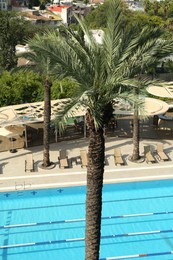 Photo of Outdoor swimming pool and tropical plants at luxury resort on sunny day