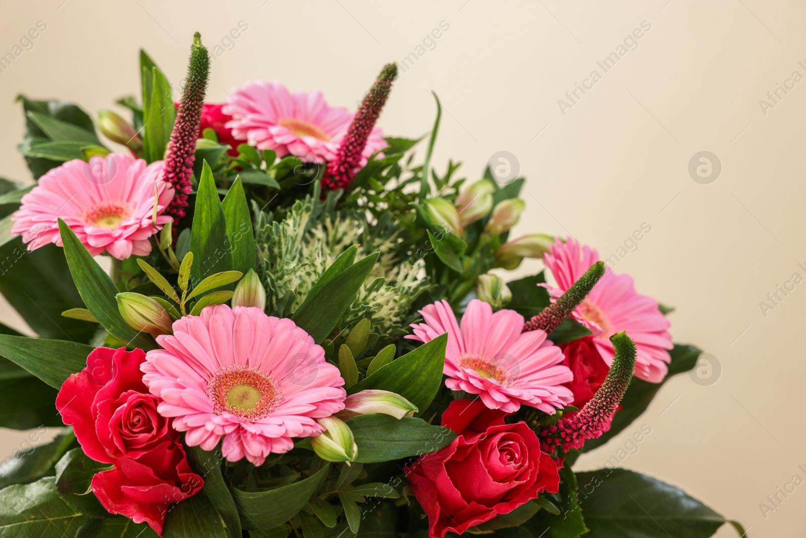 Photo of Bouquet of beautiful flowers on light background, closeup. Space for text