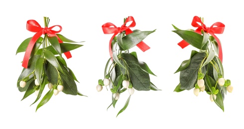 Image of Set with mistletoe bunches on white background. Traditional Christmas decor