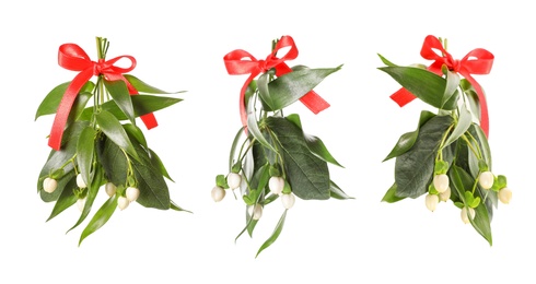 Set with mistletoe bunches on white background. Traditional Christmas decor