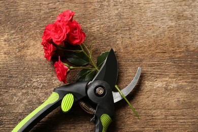 Secateur and beautiful red roses on wooden table, top view