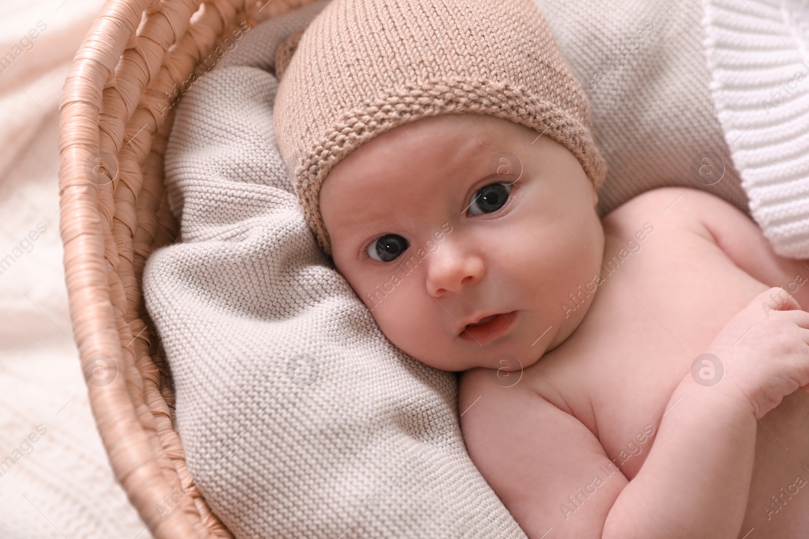 Photo of Cute newborn baby on white blanket in wicker crib, closeup