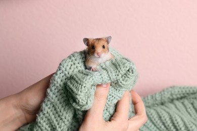 Photo of Woman holding cute little hamster on green knitted sweater against pink background, closeup