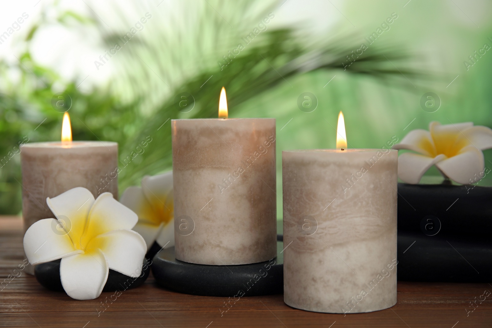 Photo of Burning candles and plumeria flowers on wooden table against blurred green background