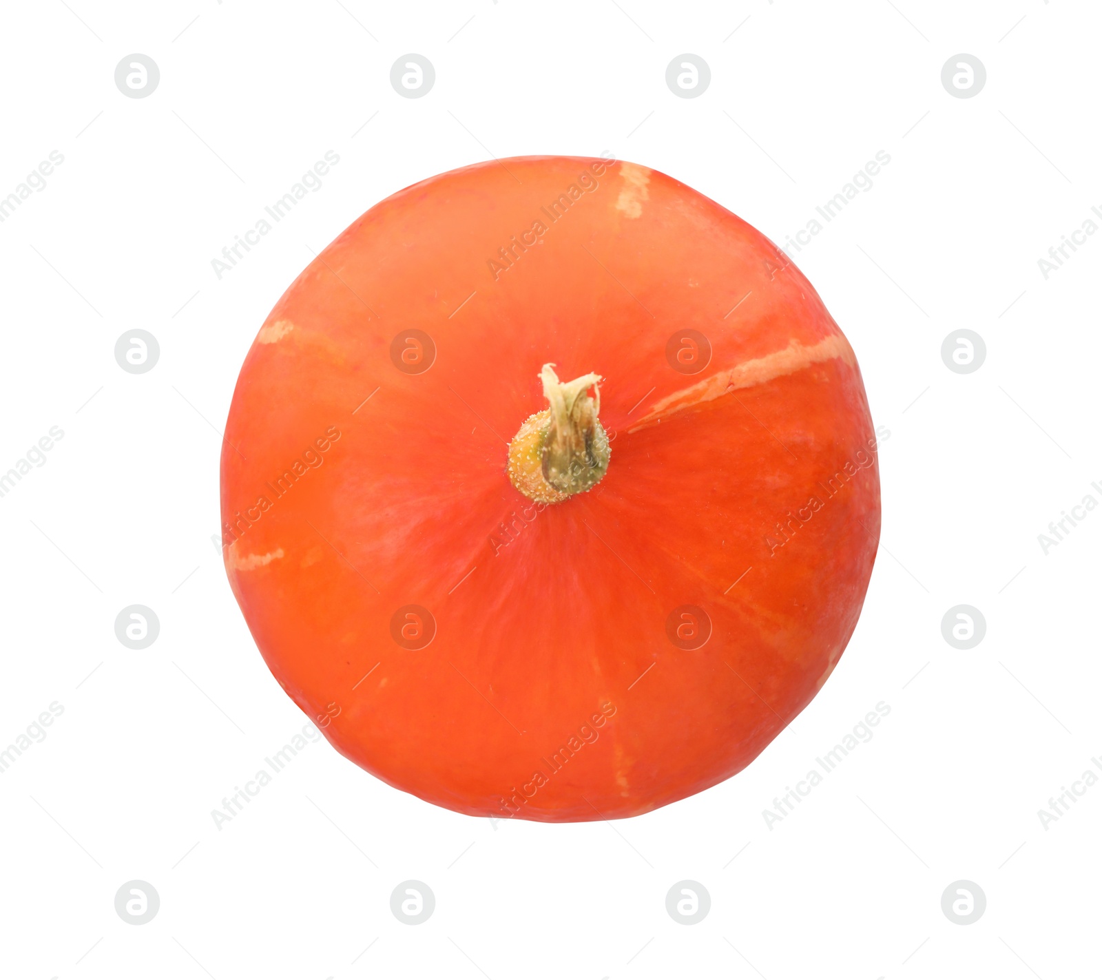 Photo of One fresh orange pumpkin isolated on white, top view