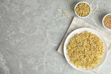 Photo of Flat lay composition with green buckwheat on light grey table, space for text