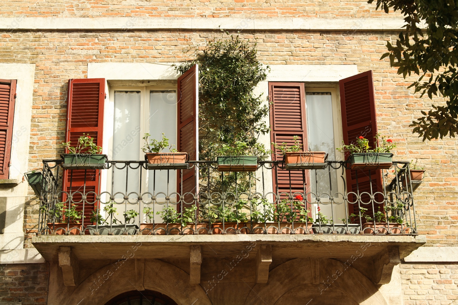 Photo of Balcony of beautiful residential building with potted plants on sunny day