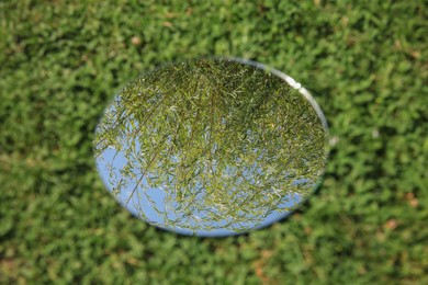 Photo of Round mirror on green grass reflecting plants outdoors