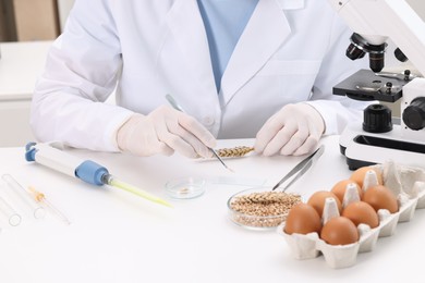 Photo of Quality control. Food inspector examining wheat grain in laboratory, closeup