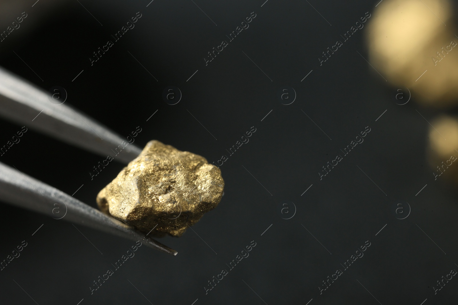 Photo of Tweezer with shiny gold nugget on blurred background, closeup. Space for text