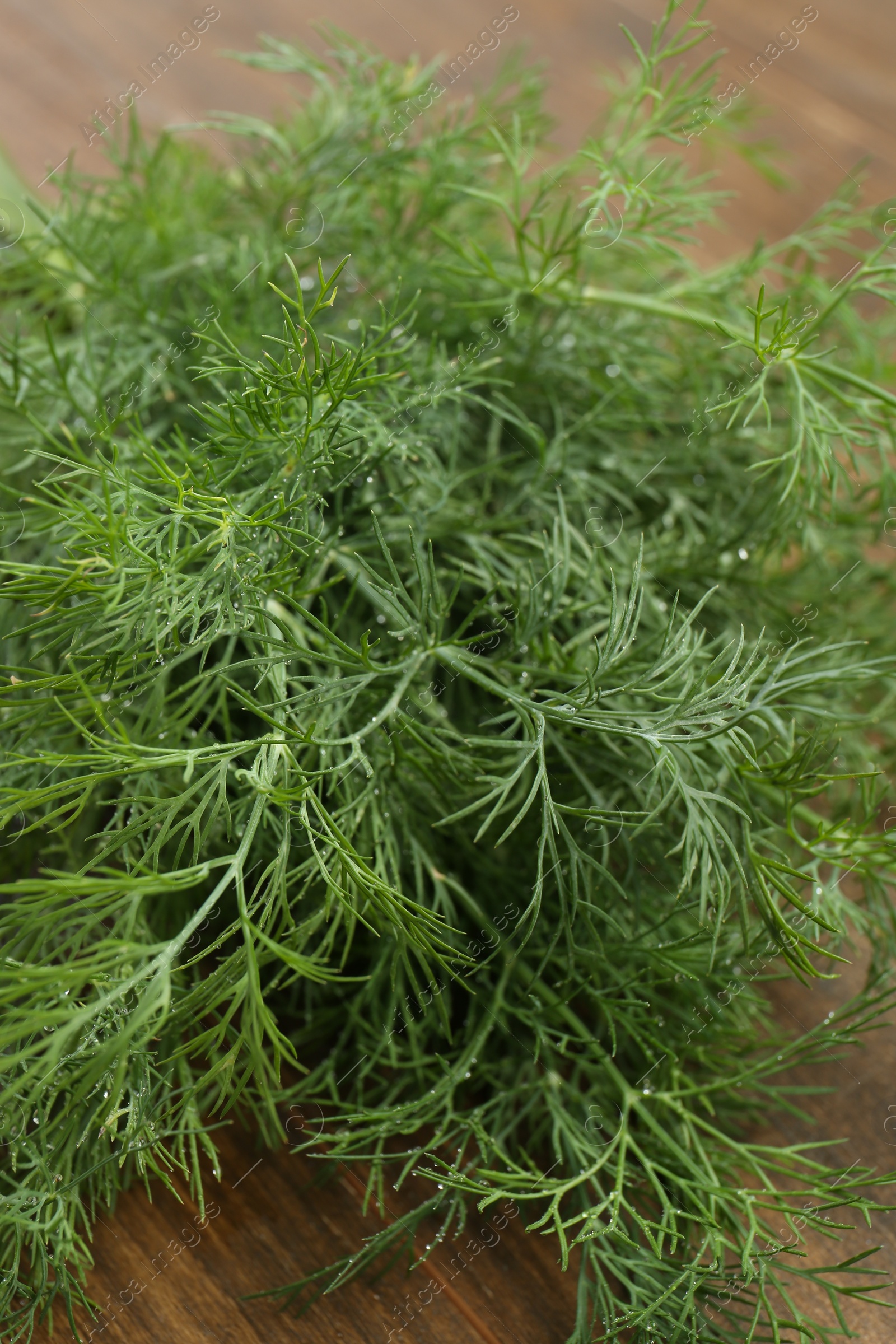 Photo of Fresh green dill on wooden table, closeup