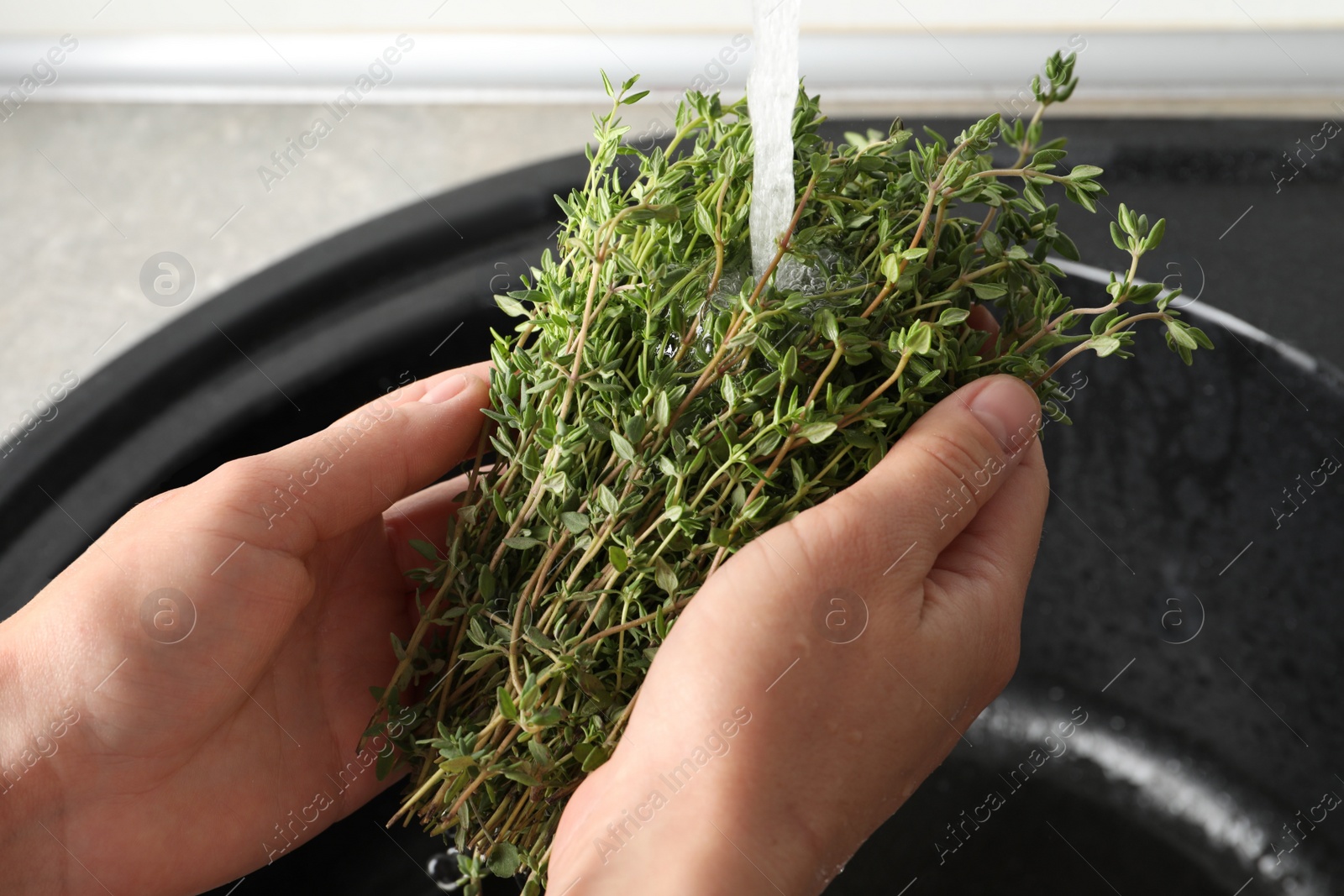 Photo of Woman washing aromatic thyme in sink, closeup