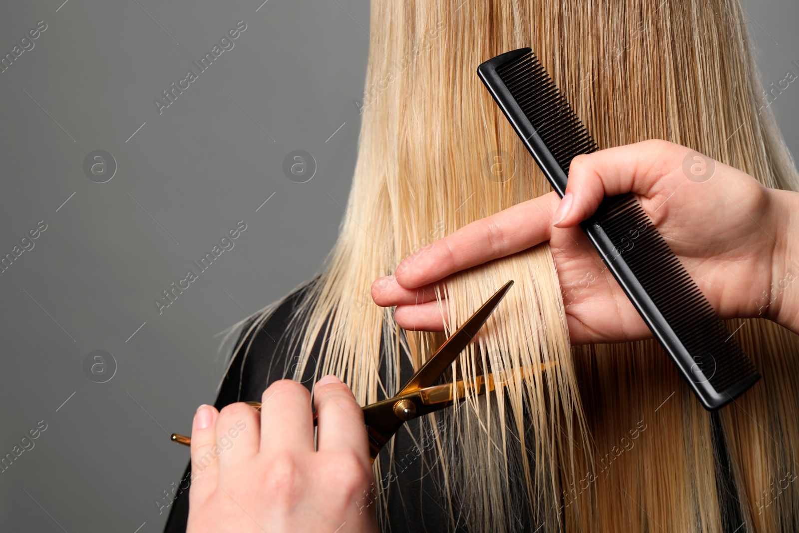 Photo of Hairdresser cutting client's hair with scissors on light grey background, closeup. Space for text