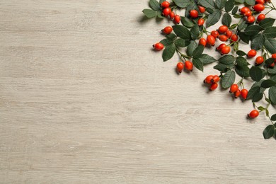 Ripe rose hip berries with green leaves on wooden table, flat lay. Space for text