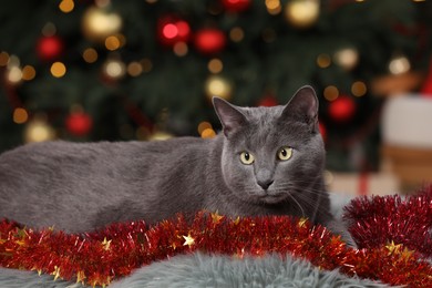 Photo of Cute cat with colorful tinsel near Christmas tree indoors