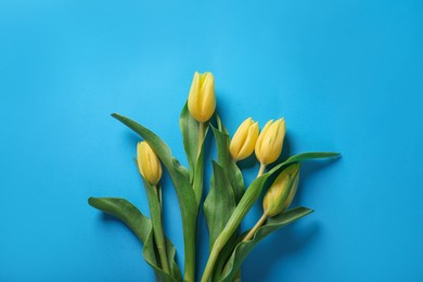 Photo of Many beautiful tulips on blue background, flat lay