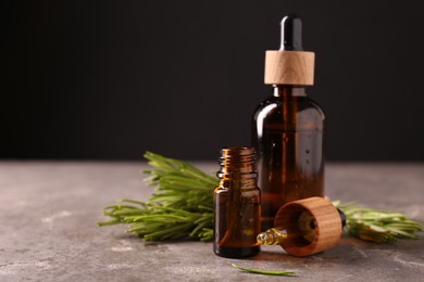 Photo of Essential oil in bottles, dropper and rosemary on grey table, space for text