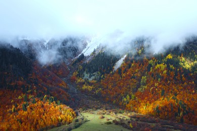 Photo of Picturesque view of mountains with forest covered by thick mist on autumn day