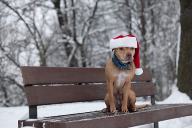 Cute dog wearing Santa hat on bench in snowy park