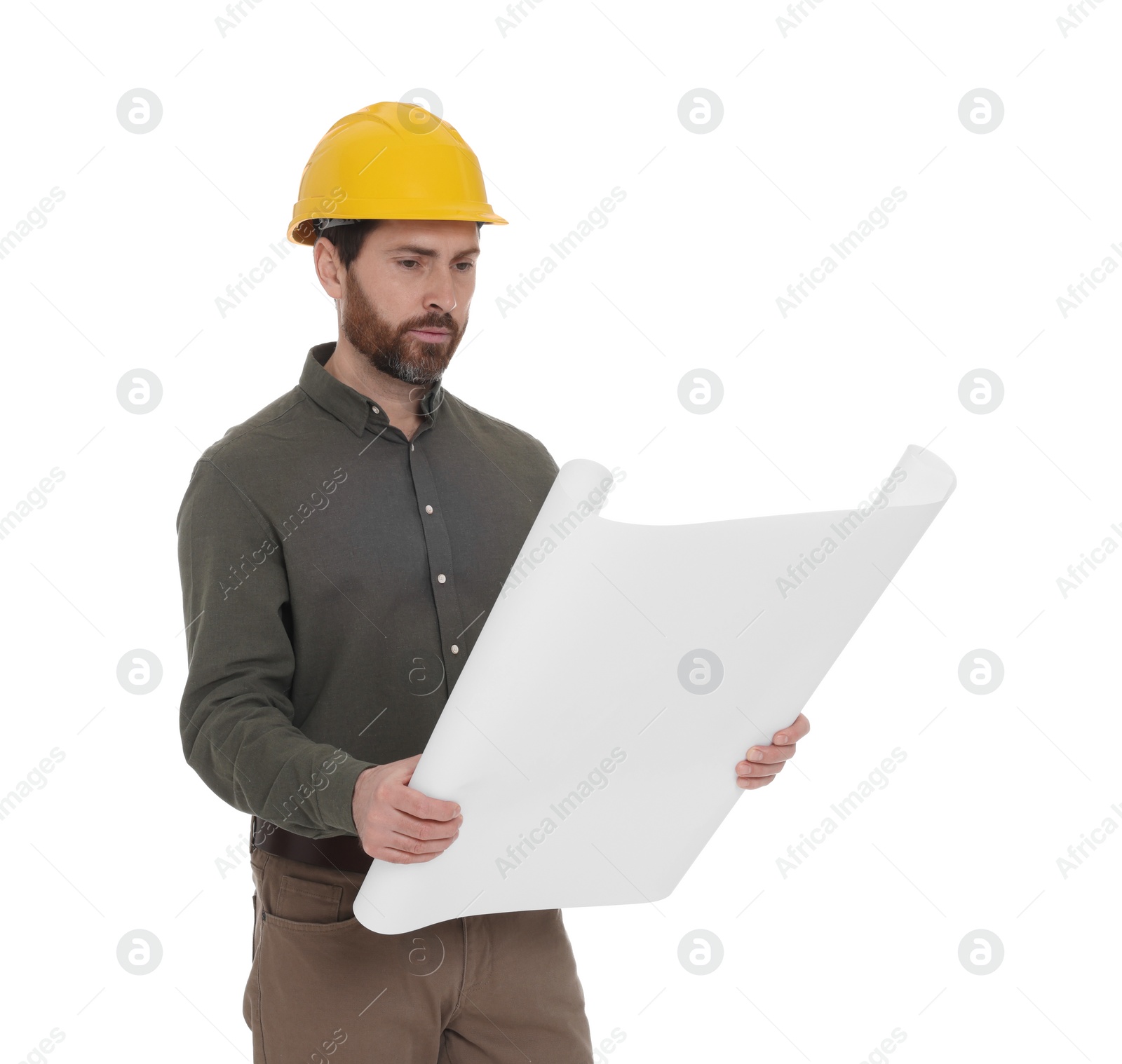 Photo of Architect in hard hat with draft on white background