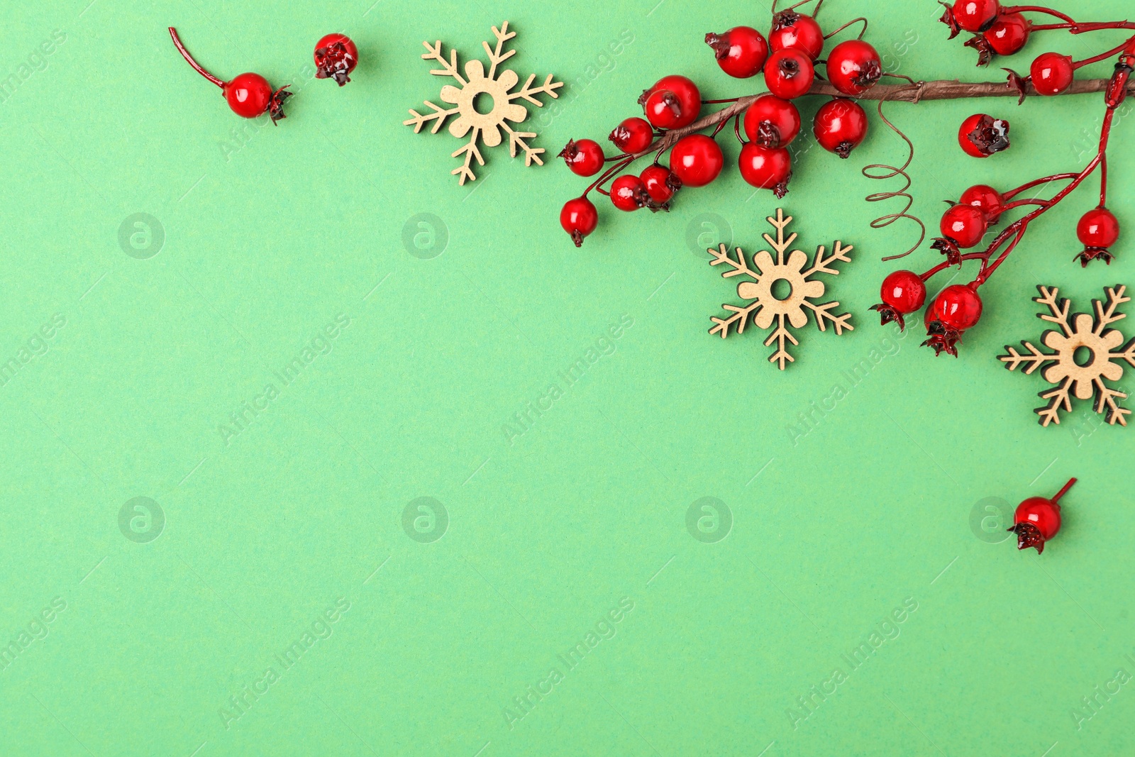 Photo of Winter composition with decorative branches on green background, flat lay. Space for text