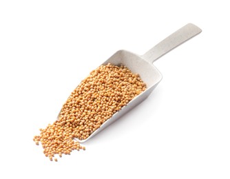 Scoop with mustard seeds on white background