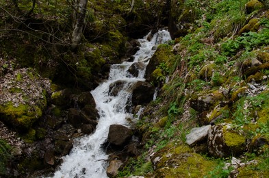 Photo of Beautiful view of mountain stream running near stones covered with moss outdoors