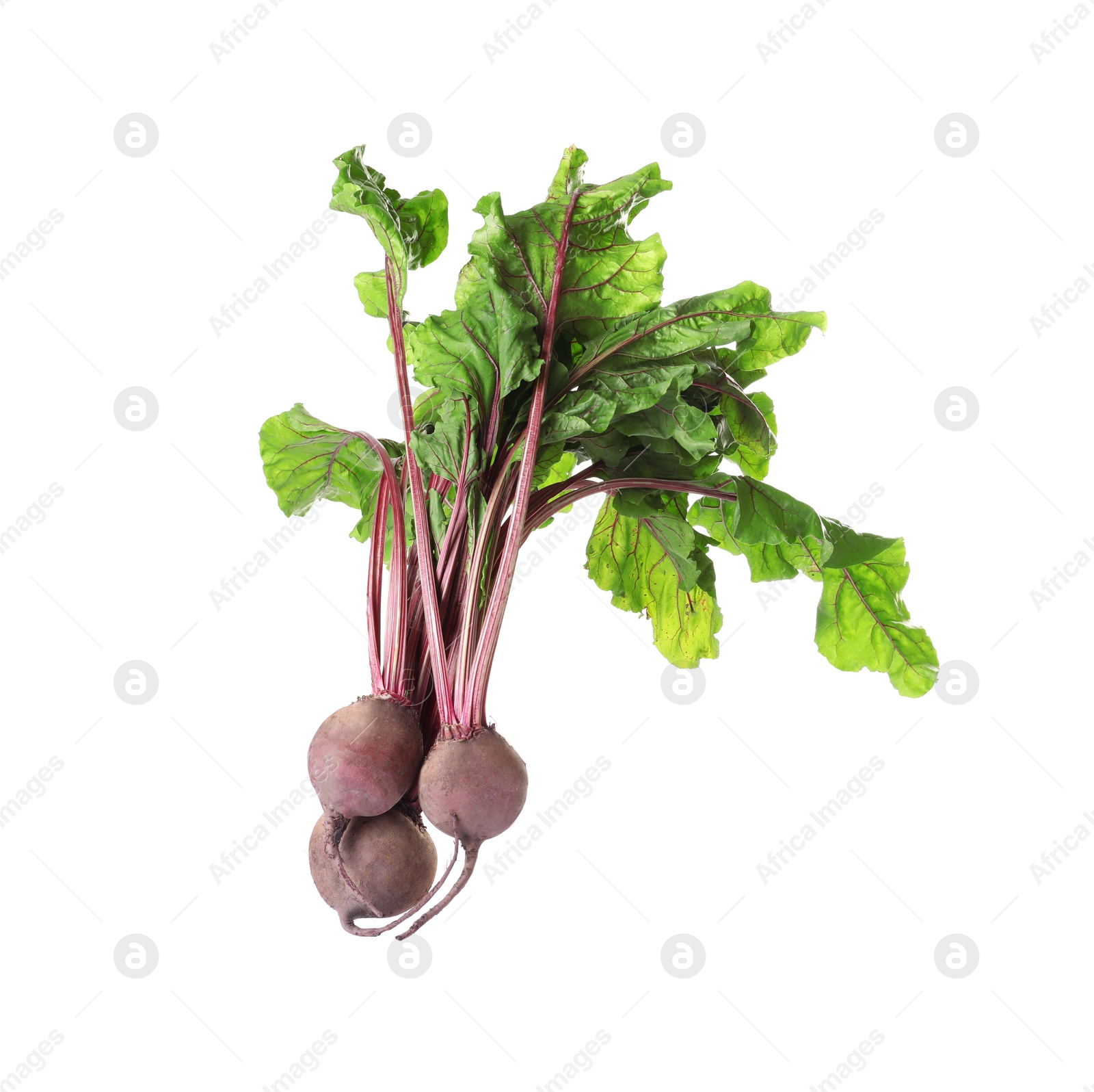 Photo of Raw ripe beets with leaves isolated on white