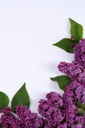 Beautiful lilac flowers and green leaves on white background, flat lay. Space for text