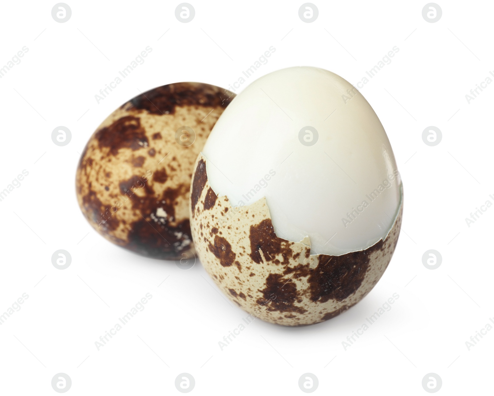 Photo of Boiled quail eggs in shell isolated on white