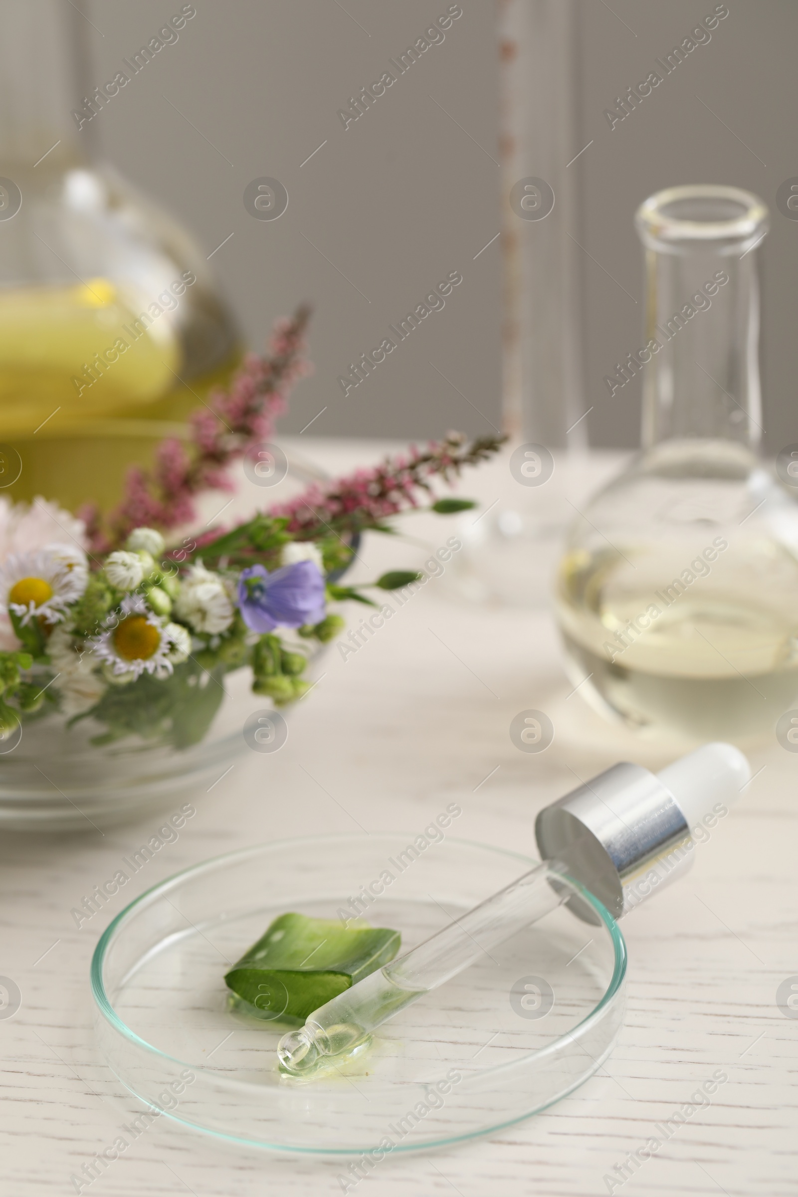 Photo of Developing cosmetic oil. Petri dish with aloe and dropper on white table in laboratory