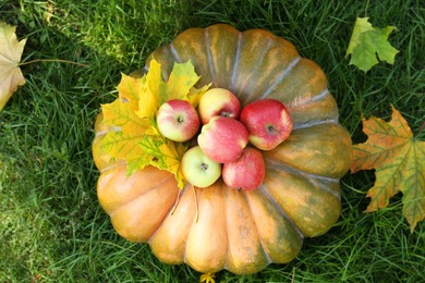 Ripe pumpkin, apples and maple leaves on green grass, flat lay. Autumn harvest