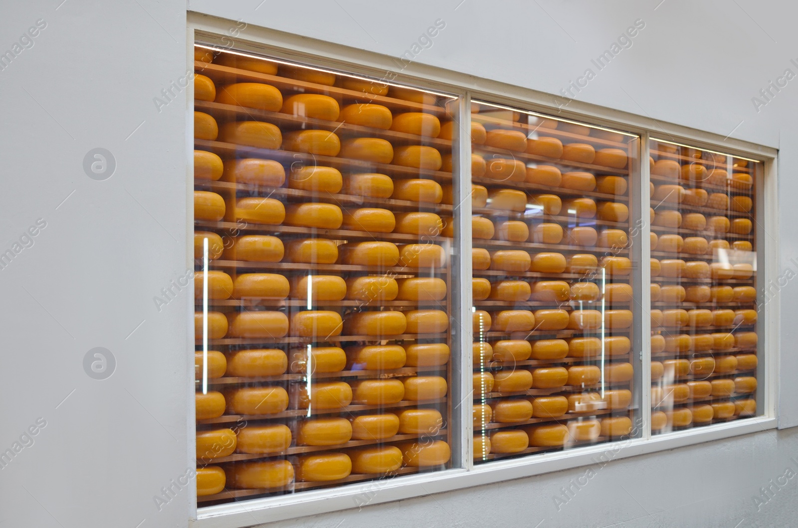 Photo of Fresh cheese heads on rack in store