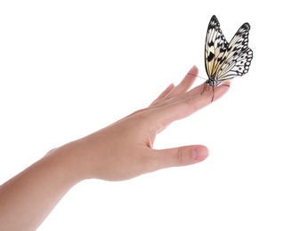 Photo of Woman holding beautiful rice paper butterfly on white background, closeup