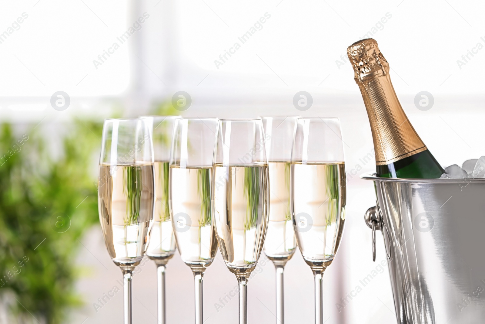 Photo of Glasses with champagne and bottle in bucket against blurred background