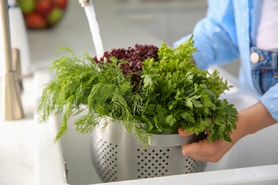 Photo of Woman washing fresh lettuce, dill and parsley in kitchen sink, closeup
