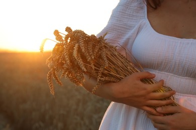 Photo of Young woman with bunch of wheat ears in field on sunny day, closeup