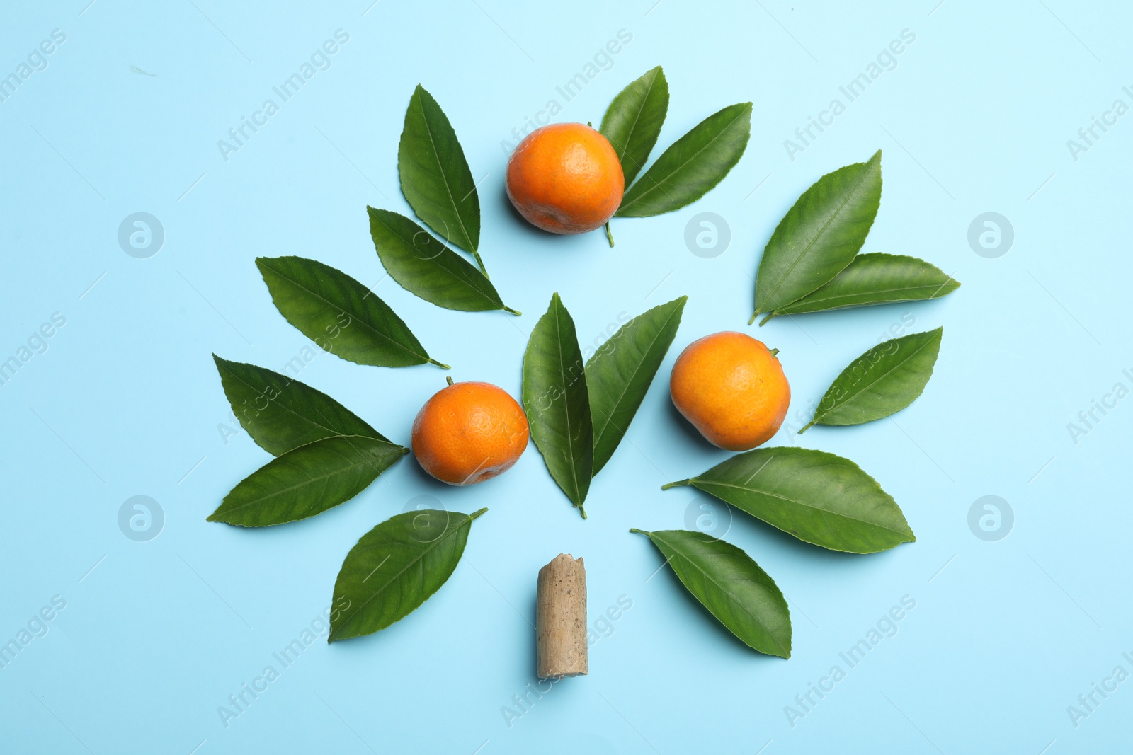 Photo of Flat lay composition with fresh green citrus leaves and tangerines on light blue background