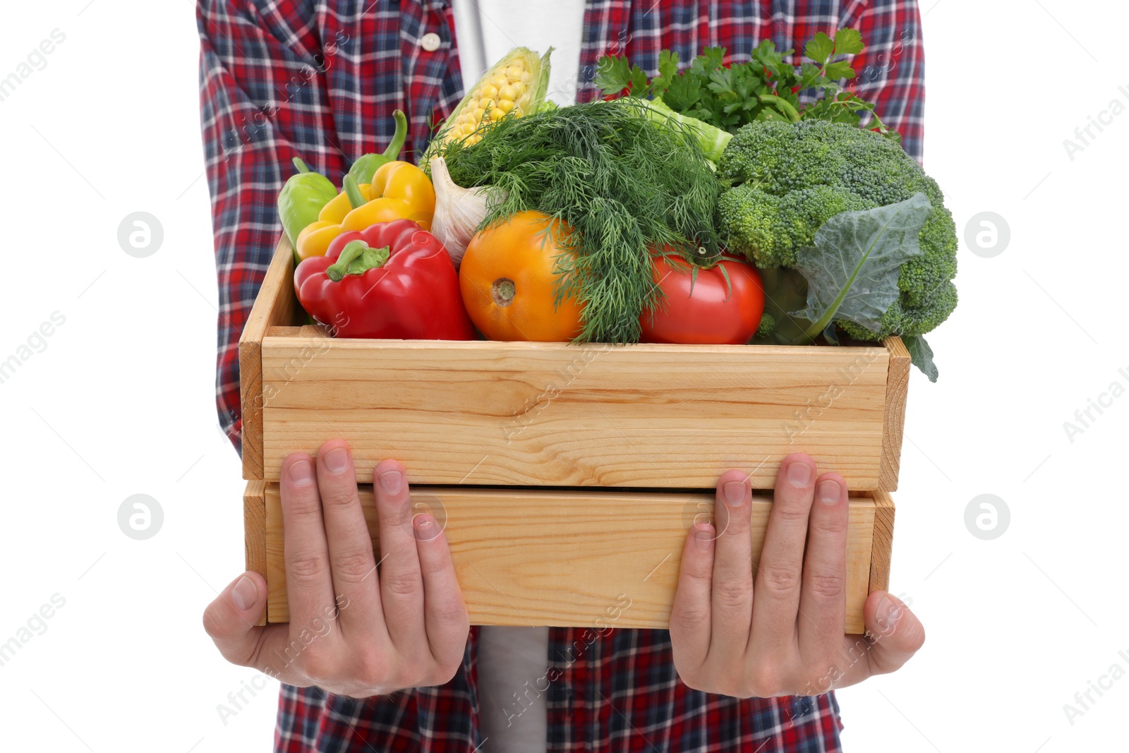 Photo of Harvesting season. Farmer holding wooden crate with vegetables on white background, closeup