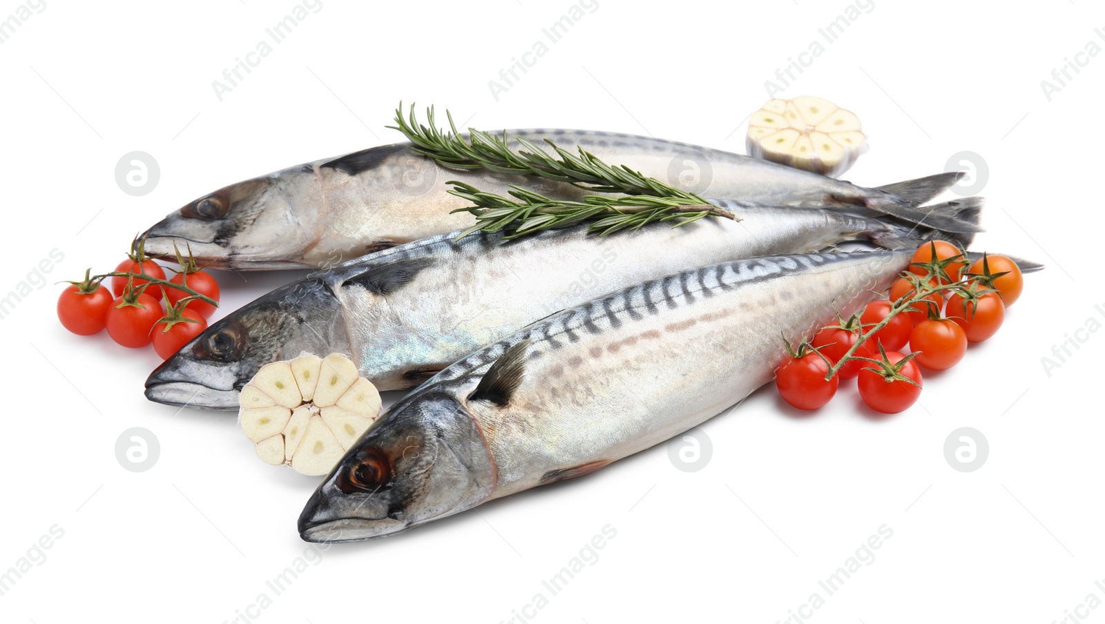 Photo of Raw mackerels, garlic, rosemary and tomatoes isolated on white