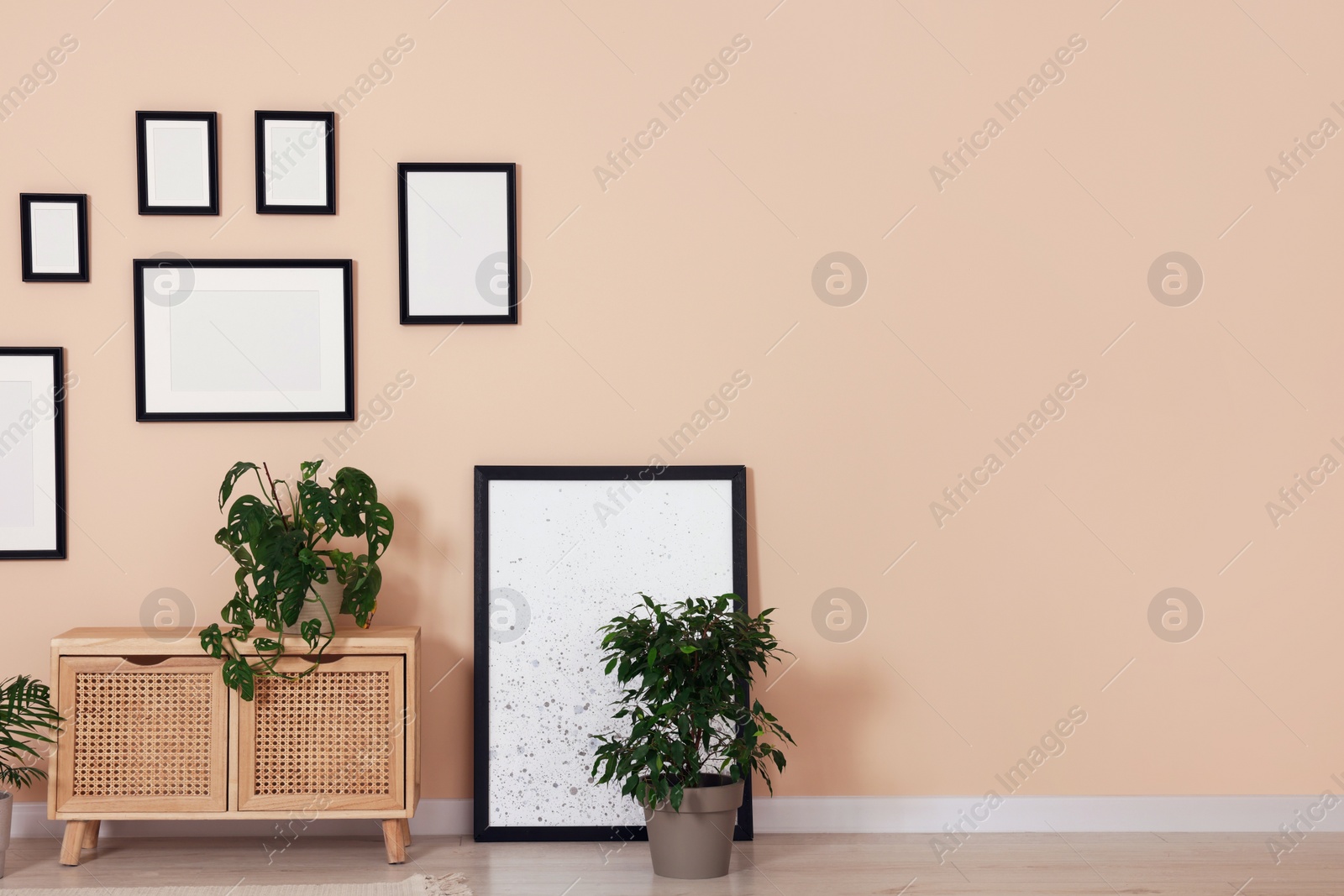 Photo of Empty frames hanging on beige wall, wooden cabinet and potted plants indoors, space for text