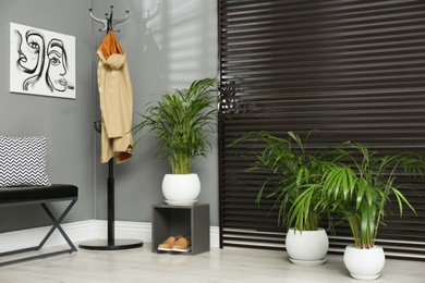 Photo of Stylish room interior with exotic house plants